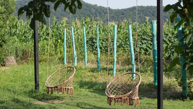 ისარგებლე ფასდაკლებით 2 ადამიანზე გათვლილ კოტეჯში პანორამა შილდა | Panorama Shilda -სგან. image 5