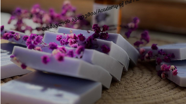 შექმენი შენი საკუთარი ხელოვნების ნიმუში მომავლის აკადემიაში image 18