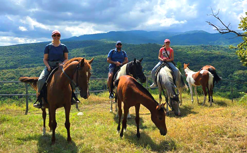 დაისვენე და ისიამოვნე დაუვიწყარი საცხენოსნო ტურით კახეთში image 3