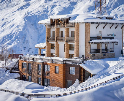 ნომერი 2 ან 3 სტუმარზე გუდაურში