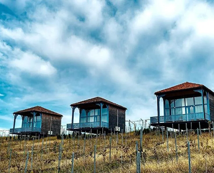 ვარციხე - სახლი ვენახზე 4 სტუმარზე საუზმით და დახურული აუზით