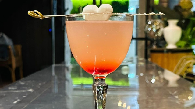 შექმენი დაუვიწყარი მოგონებები ჰაიდ აუთ ბაკურიანში image 19