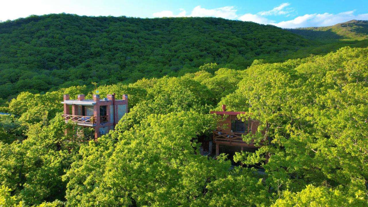 Enjoy a discount on a stay for 2 people at Vejini Villa in Vejini, on weekdays.  image 9