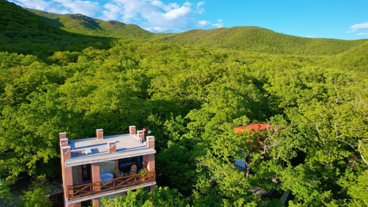 Enjoy a discount on accommodation for 6 people in a cottage on weekdays at Villa Vejini.  image 8