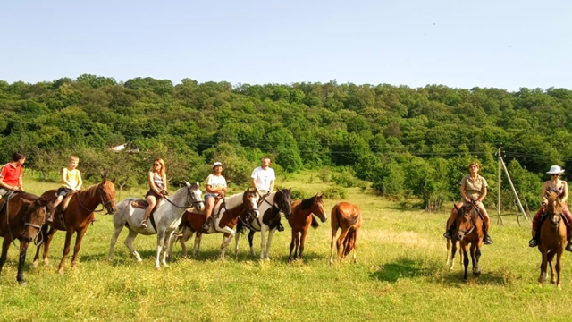 ისარგებლე ფასდაკლებით საცხენოსნო ტურებზე კახეთში. image 1