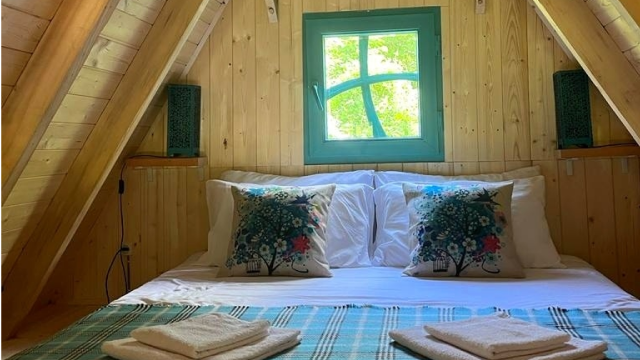 ისარგებლე ფასდაკლებით კოტეჯში 2 ან 4 სტუმრის განთავსებაზე გარემო | Garemo -ში. image 5