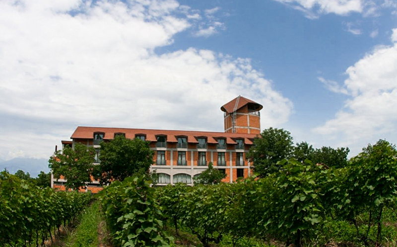 გაატარე დაუვიწყარი დრო სასტუმრო სასტუმრო სავანეთში image 1