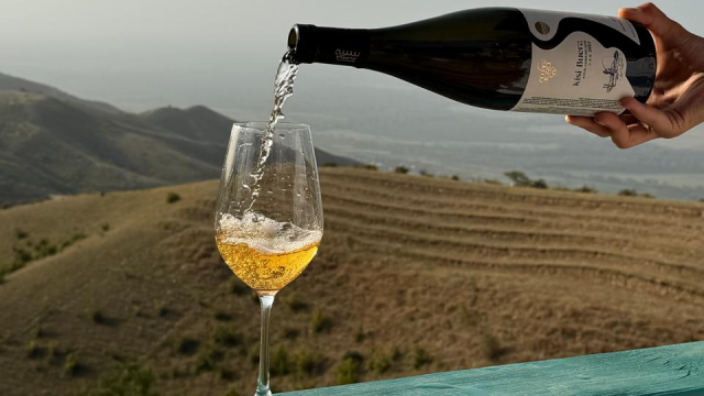 ისარგებლე ფასდაკლებით ღვინის ტურზე სასტუმრო იორა | Hotel Iora -ში. image 1