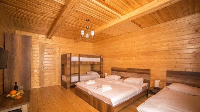 ისარგებლე ფასდაკლებით ბაკურიანის სასტუმროს ნომერში Greenwood Hotel. image 2