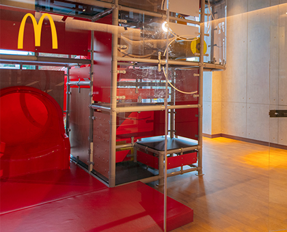 დაბადების დღე მაკდონალდსში - 15 ბავშვზე