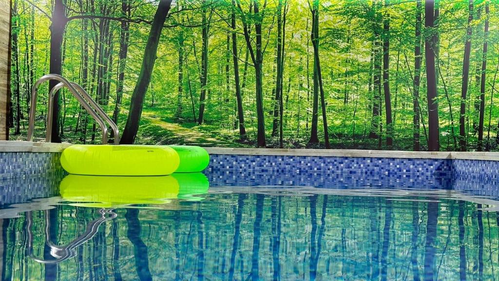 შექმენი დაუვიწყარი მოგონებები სასტუმრო საბადური ჰილსში. image 16