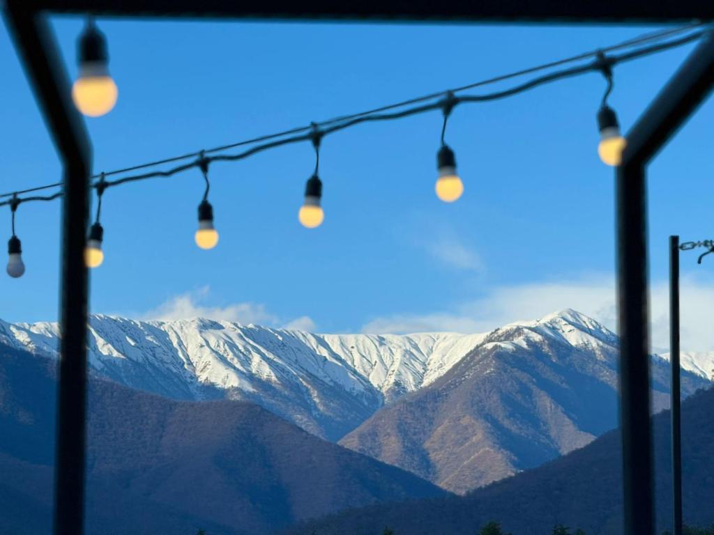 გაატარე დაუვიწყარი დრო სასტუმრო ვინეარდში. image 10