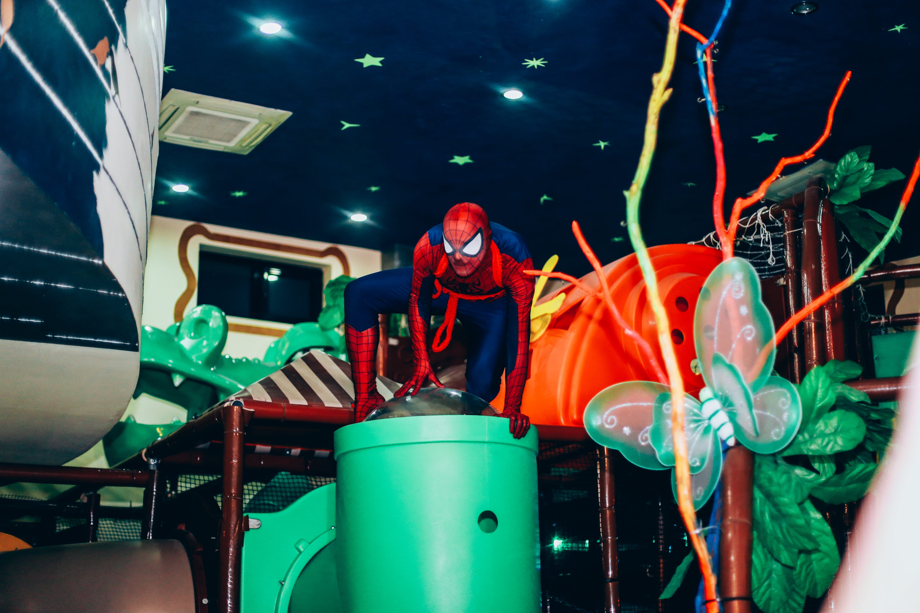 აირჩიე დაბადების დღის პროგრამა ან საახალწლო კარნავალი განსაკუთრებულ პირობებში დეჟავინოში image 37