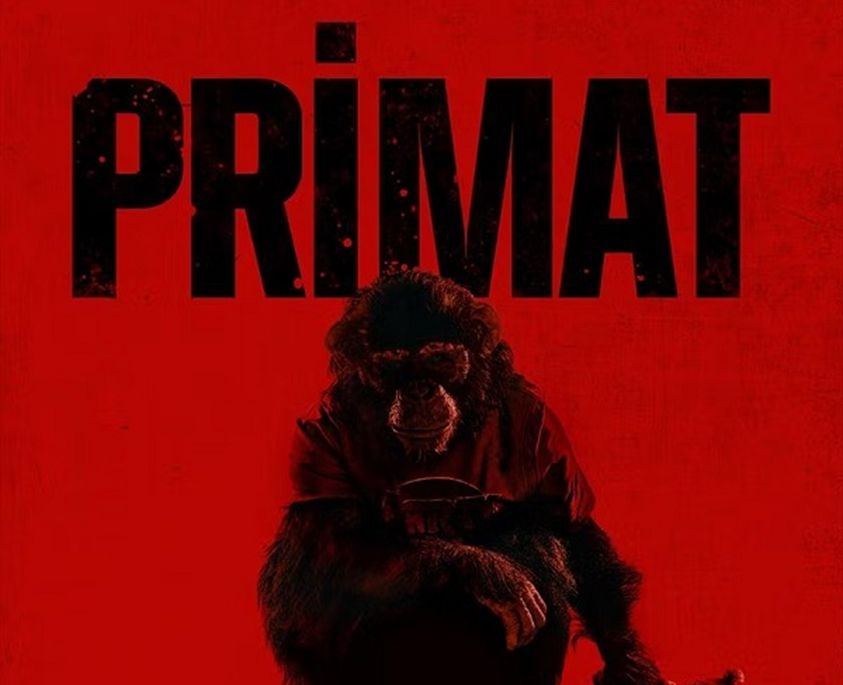Primate