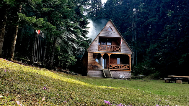 10 ლარად! შეიძინე Swooper Code-ი და მიიღე 28%-იანი ფასდაკლება ''კოტეჯი სოჭი რაჭაში / Cottage Sochi in Racha''-სგან ! image 6