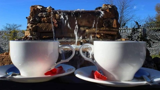 43%- იანი ფასდაკლების Swooper Code-ი, იქირავეთ სასურველი ნომერი წყალტუბოს სასტუმროში «Oasis Villa / ოაზის ვილა» image 23