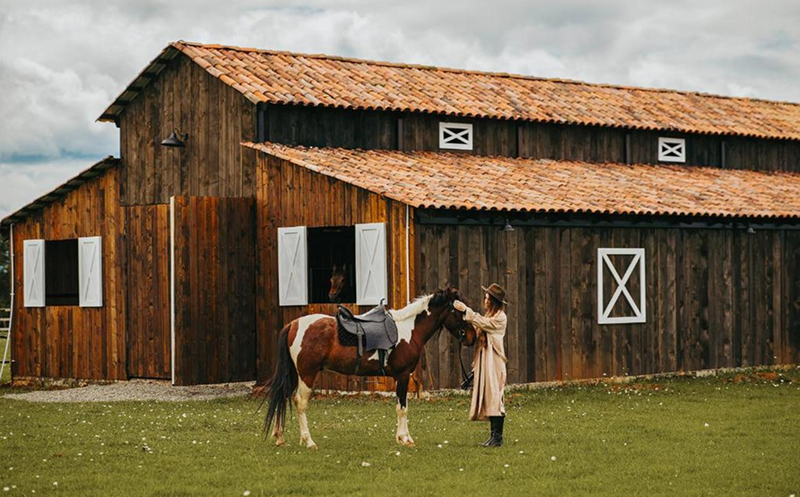 შექმენი დაუვიწყარი მოგონებები მეგობრებთან ერთად შატო ვარციხეში 5