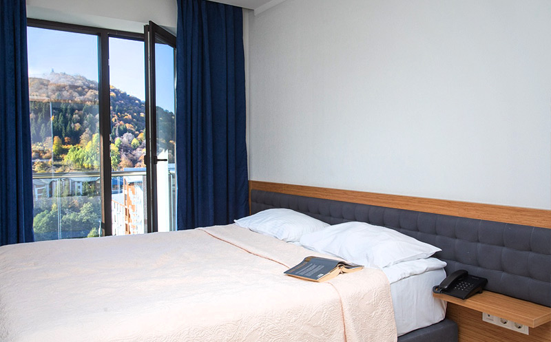 შექმენი დაუვიწყარი მოგონებები ძვირფას ადამიანებთან ერთად სასტუმრო ორბი პალას ბაკურიანში image 7