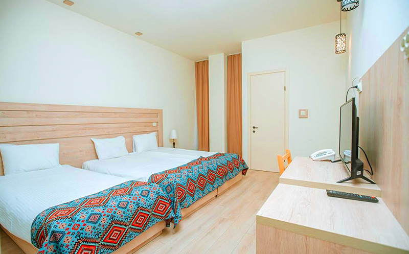 გაატარე დაუვიწყარი დრო სასტუმრო ტყუპების საღვინე სახლში. image 1