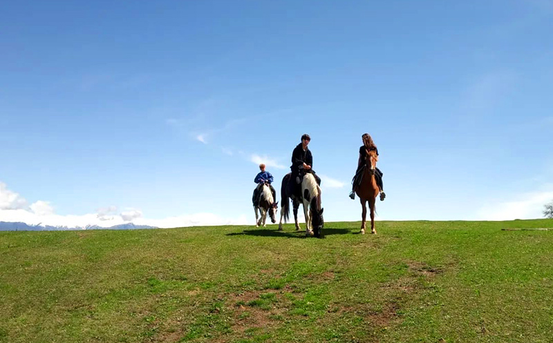 დაისვენე და ისიამოვნე დაუვიწყარი საცხენოსნო ტურით კახეთში image 9