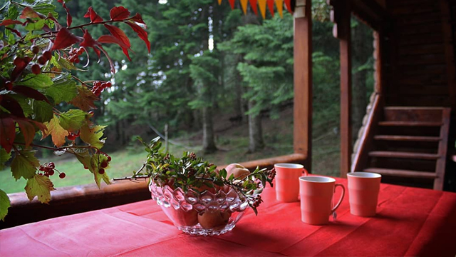 10 ლარად! შეიძინე Swooper Code-ი და მიიღე 28%-იანი ფასდაკლება ''კოტეჯი სოჭი რაჭაში / Cottage Sochi in Racha''-სგან ! image 9