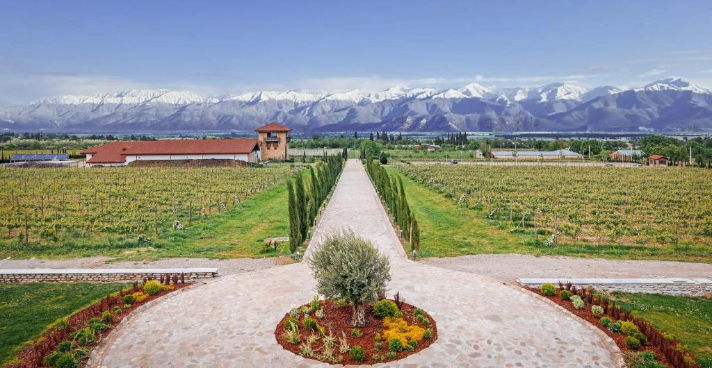 შექმენი დაუვიწყარი მოგონებები შატო და მეღვინეობა მოსმიერში image 20