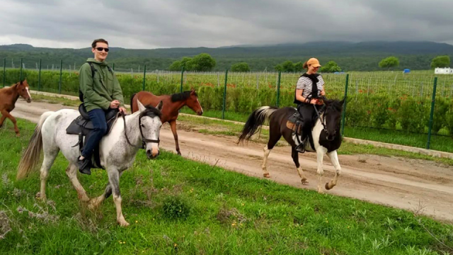 ისარგებლე ფასდაკლებით საცხენოსნო ტურებზე კახეთში. image 0