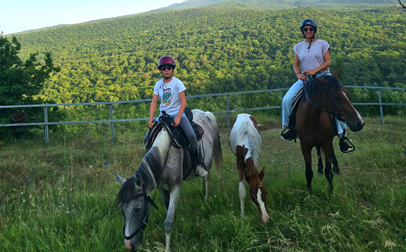 დაისვენე და ისიამოვნე დაუვიწყარი საცხენოსნო ტურით კახეთში image 1