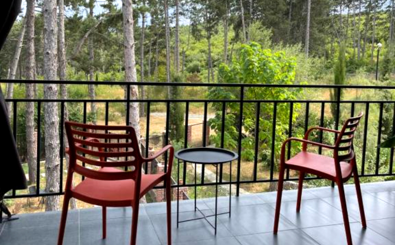 ისარგებლე ფასდაკლებით ნომერში 2 სტუმრის განთავსებაზე სასტუმრო უცხო | Hotel Utskho -ში. image 2