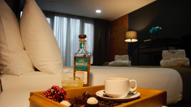 ისარგებლე ფასდაკლებით ნომერში 2 სტუმრის განთავსებაზე ბრიქსი | Bricks -ში. image 15