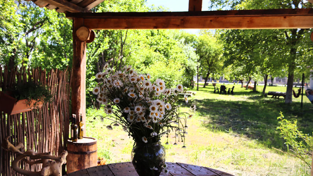 ისარგებლე ფასდაკლებით ერთჯერადი ვიზიტით ღია საცურაო აუზზე ჟებოტა გარდენი | Hotel Zhebota Garden -ში. image 7