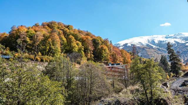 Enjoy a discount on a studio apartment for 2+2 guests at Didivelli Gallery. image 12