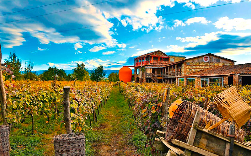 ისარგებლე ფასდაკლებით ნომერში 2 სტუმრის განთავსებაზე ტყუპების საღვინე სახლი | Twin Wine House -ში. image 2