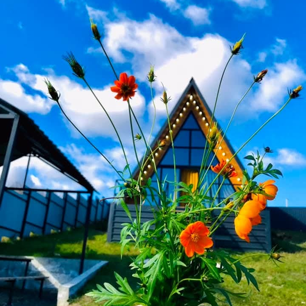 ისარგებლე ფასდაკლებით 2 ადამიანის განთავსებაზე  კოტეჯი ნანოლენდი | Cottage Nanoland -ში. image 1