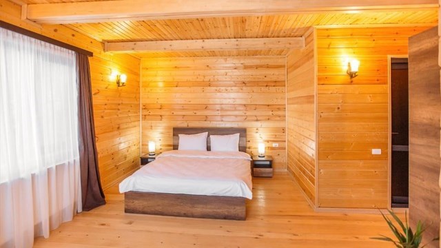 ისარგებლე ფასდაკლებით ბაკურიანის სასტუმროს ნომერში Greenwood Hotel. image 1