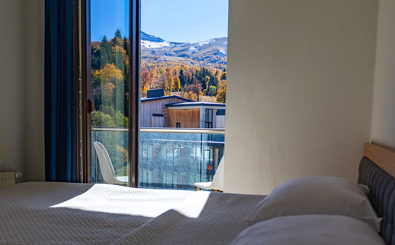 შექმენი დაუვიწყარი მოგონებები ძვირფას ადამიანებთან ერთად სასტუმრო ორბი პალას ბაკურიანში image 5