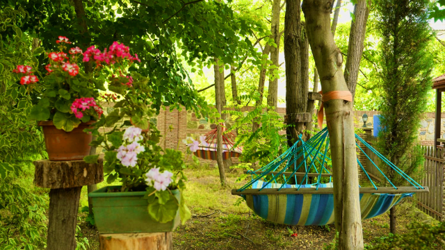 Take advantage of the discount on accommodation for 14+1 guests at Chateau Orberi cottage. image 5