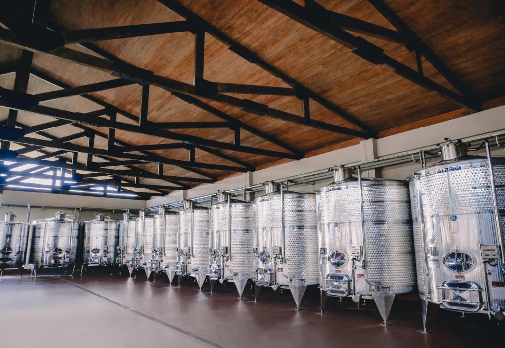 შექმენი დაუვიწყარი მოგონებები შატო და მეღვინეობა მოსმიერში image 15