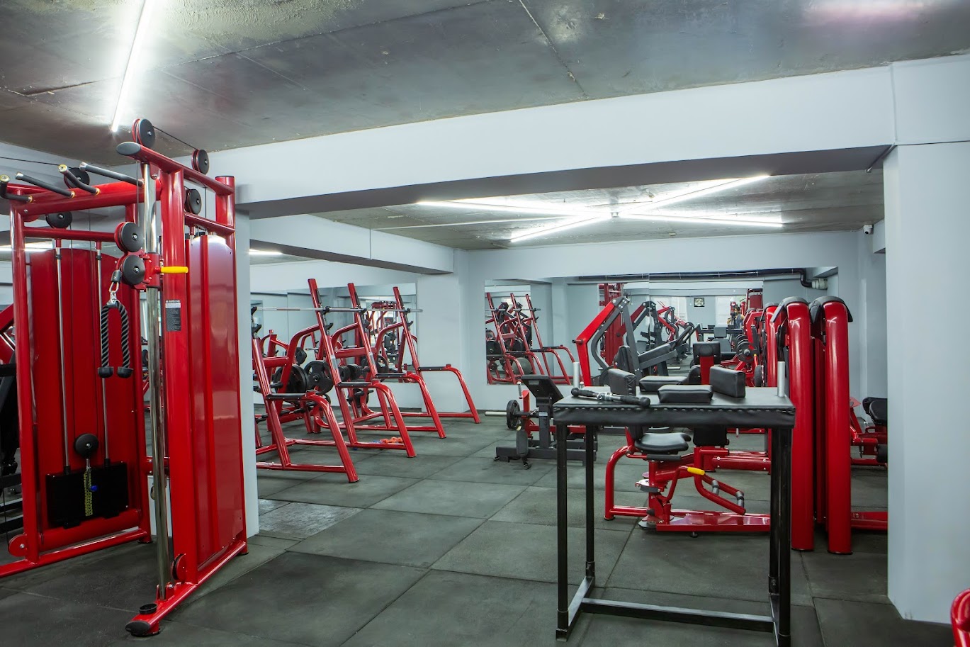 გამოიყენე ფიტნესის ერთ თვიან ულიმიტო აბონემენტი დიელ ფიტნესიში image 6