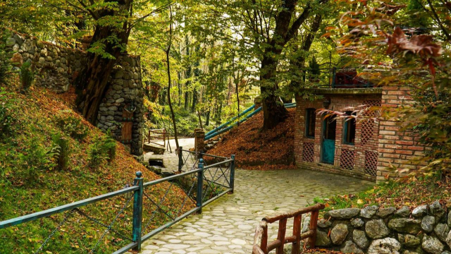 ისარგებლე ფასდაკლებით კოტეჯში 2 სტუმრის განთავსებაზე, საუზმით შატო ყირამალა ლაგოდეხი | Chateau Kiramala Lagodekhi	-ში. image 12