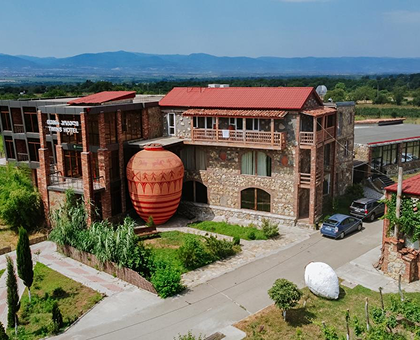 დაუვიწყარი საბავშვო ექსკურსია ტყუპების საღვინე სახლში