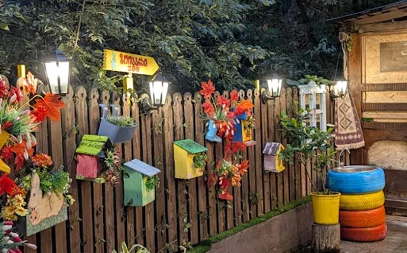კონტაქტური ზოოპარკი „FAUNA LAND“ გთავაზობთ შაბათსა და კვირას სხვადასხვა გასართობ პროგრამებს ბავშვებისათვის, უფასო საგანმანათლებლო ექსკურსიას მოზრდილი ბავშვებისთვის. 1