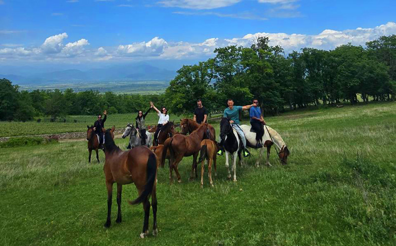 დაისვენე და ისიამოვნე დაუვიწყარი საცხენოსნო ტურით კახეთში image 0