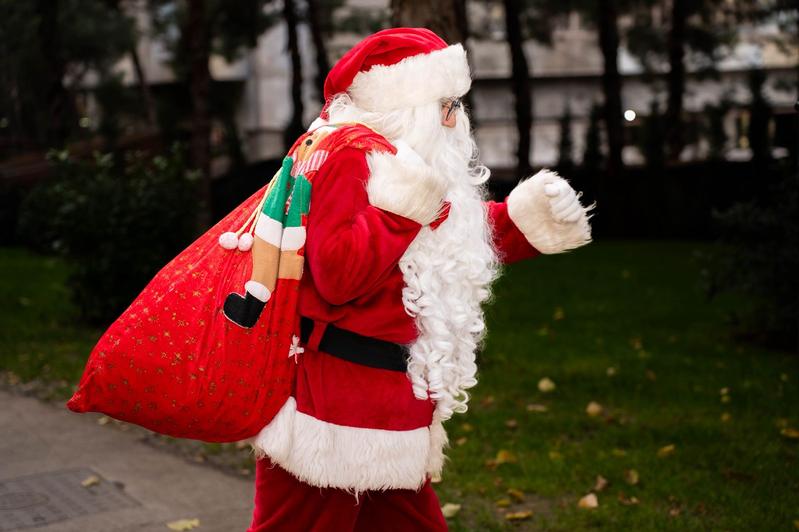 გაიხალისე ახალი წელი სანტასთან, ელფთან ან თოვლის დედოფალთან ერთად image 1