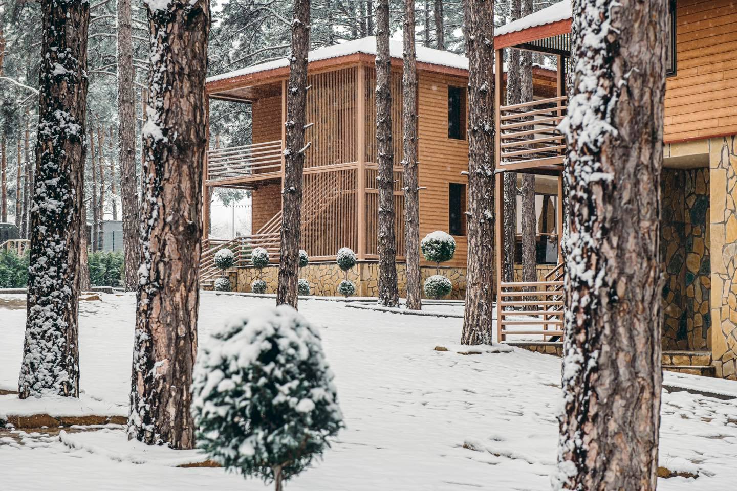 შეარჩიე შენთვის სასურველი შეთავაზება და ისამოვნე ზუზუმბო რეზორტი & სპაში image 10