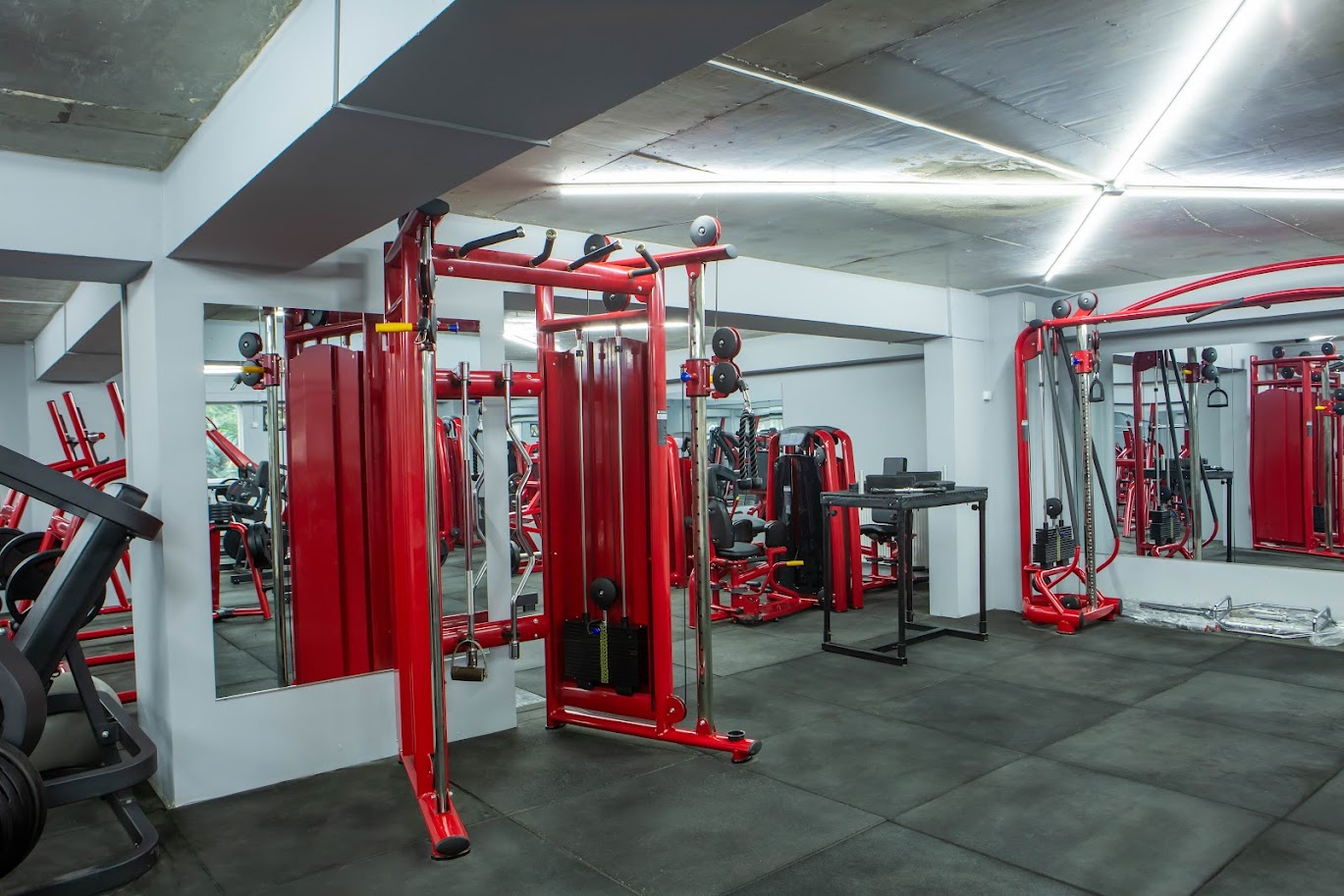 1 თვიან ულიმიტო აბონემენტზე ქალბატონებისთვის დიელ ფიტნესში. image 0