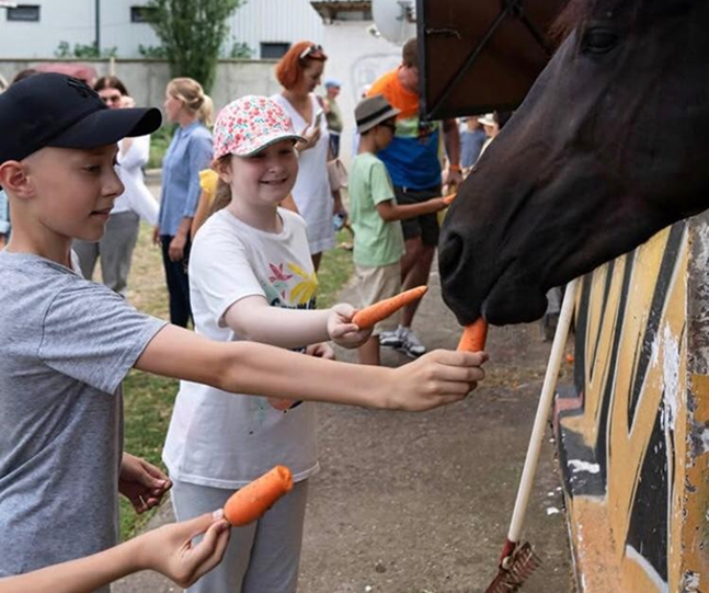 ისარგებლე ფასდაკლებით და მიიღე სხავადასხვა მომსახურება ბათუმის საცხენოსნო კლუბი | Batumi horse club -სგან image 0