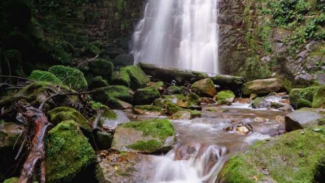 ისარგებლე ფასდაკლებით კვადროთი გასეირნებით აჭარაში. image 10