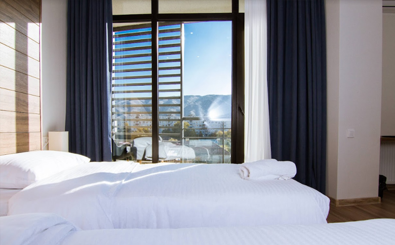 გაატარე დაუვიწყარი დრო სასტუმრო ვიქტორია ინნში image 6