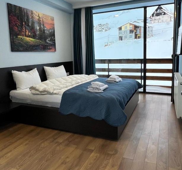 დაისვენე მეგობრებთან ერთად გუდაურში image 5